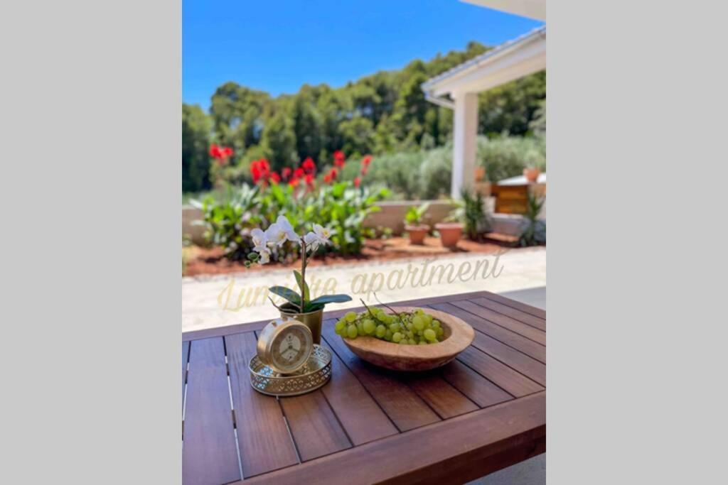 Seaview pool apartment-Lumière, Island Hvar-Gdinj Esterno foto